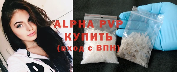 СК Бронницы