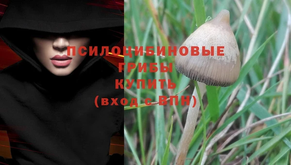 СК Бронницы