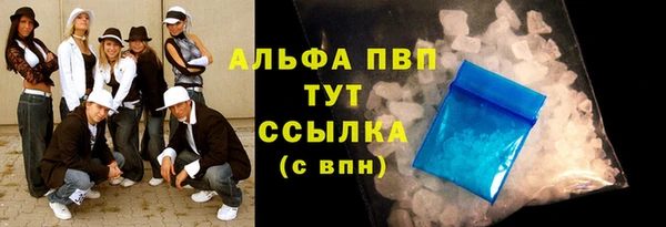 СК Бронницы