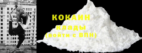 СК Бронницы