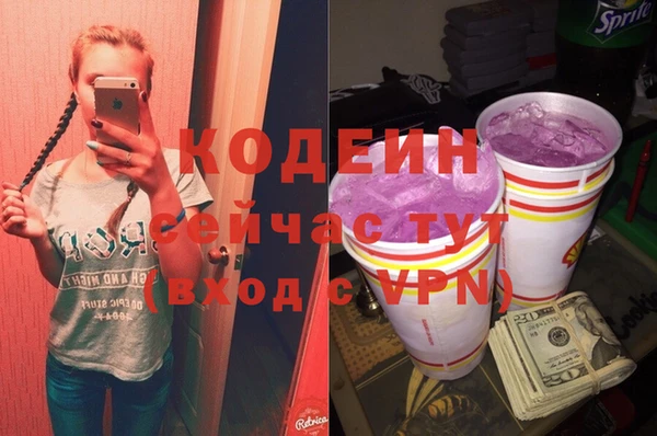 СК Бронницы