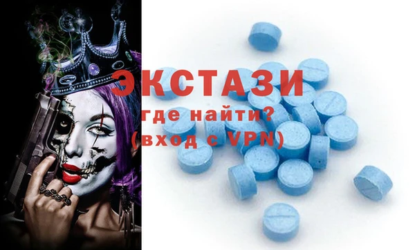 СК Бронницы