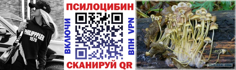 Галлюциногенные грибы Psilocybine cubensis  Долгопрудный 